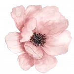 Flor em aquarela
